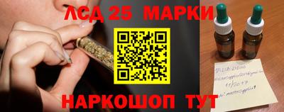 apvp Канаш