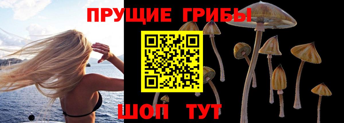 Псилоцибиновые грибы ЛСД  Вход с VPN  Галлюциногенные грибы Psilocybine cubensis  Томск 